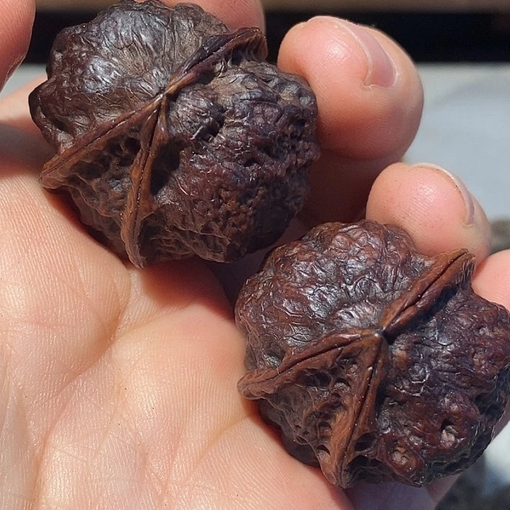文玩核桃把件66666669