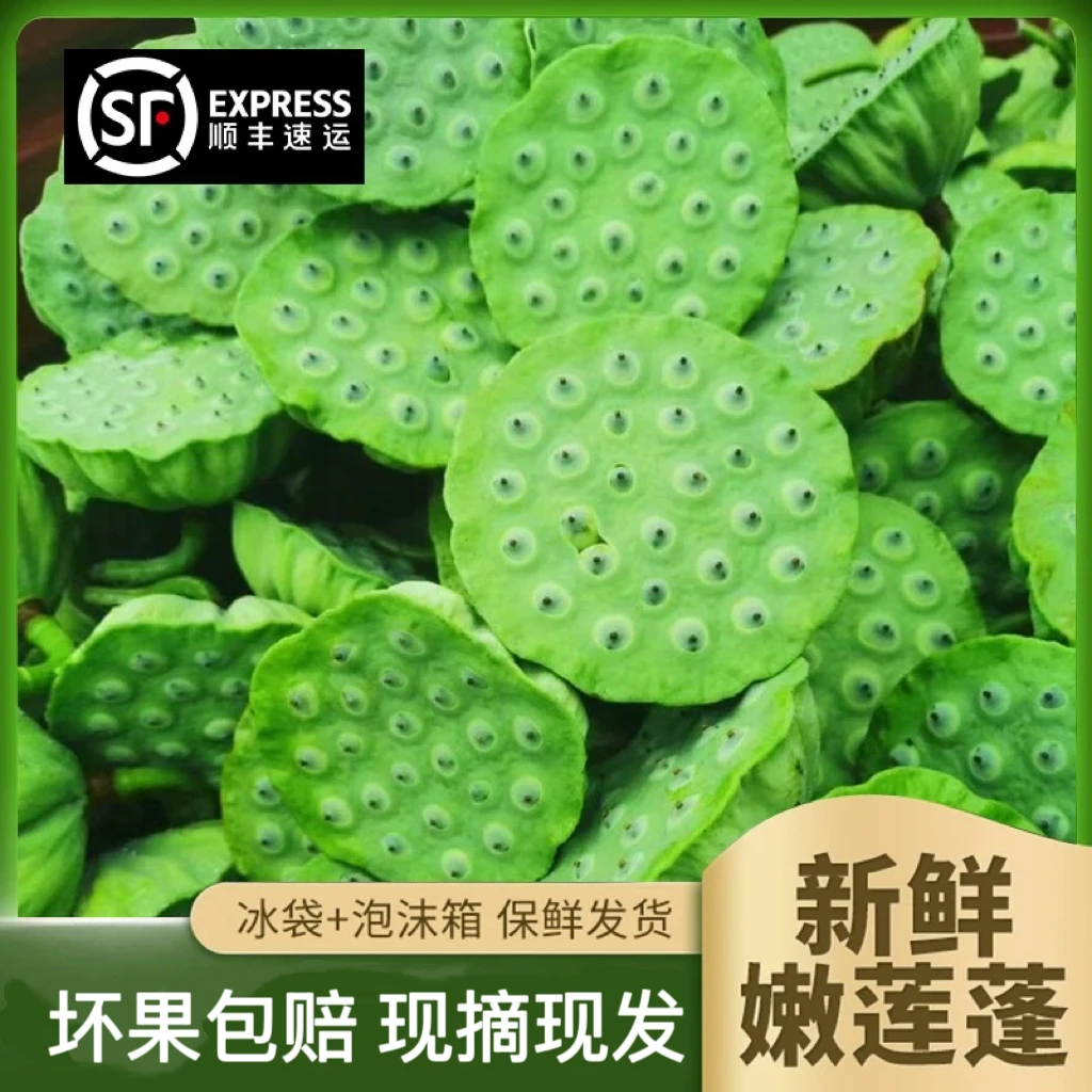 新鲜莲蓬现摘生吃当季水果湘莲甜嫩蔬菜莲蓬新鲜生吃现摘嫩莲子
