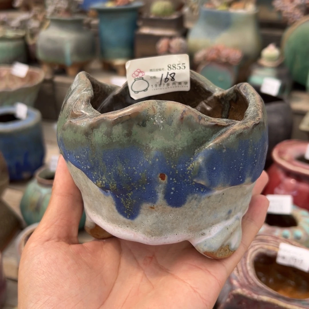 粗砂花盆墨*·精品8855盆盆盆盆