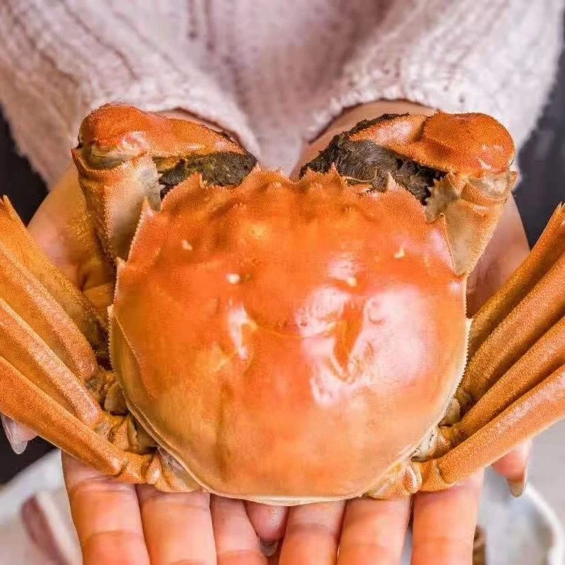 【活蟹】祁老汉大闸蟹 公5.1-4.8两 母4.7-4.4两  5对10只装