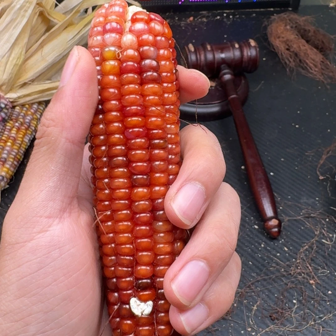 ****过柏香籽/百香籽吊坠