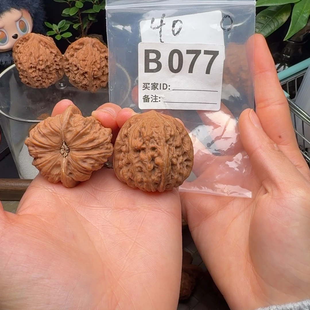 龙脊菩提吊坠全品平谷凹底40