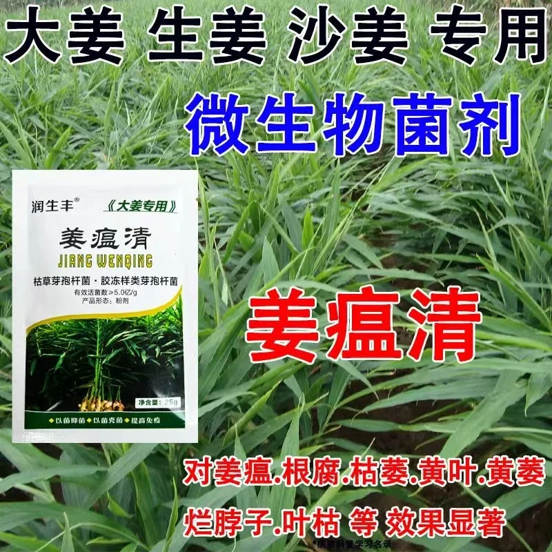 大姜生姜专用姜瘟清姜瘟净烂脖子杀菌干尖黄叶姜瘟灵生物菌剂肥