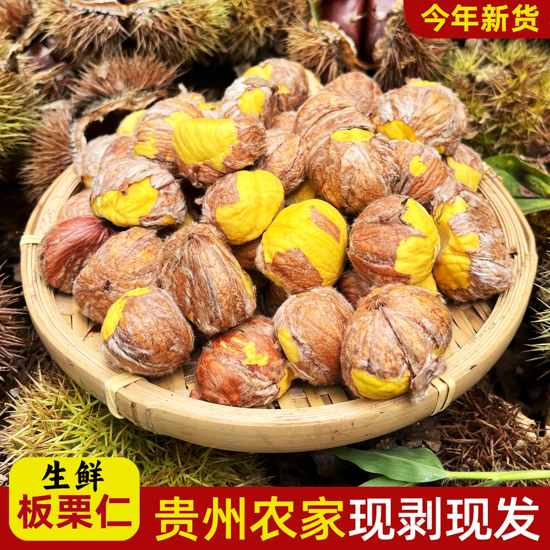 贵州高山农家老树油板栗仁 粉糯香甜现摘现剥毛油栗子籽生吃煲汤