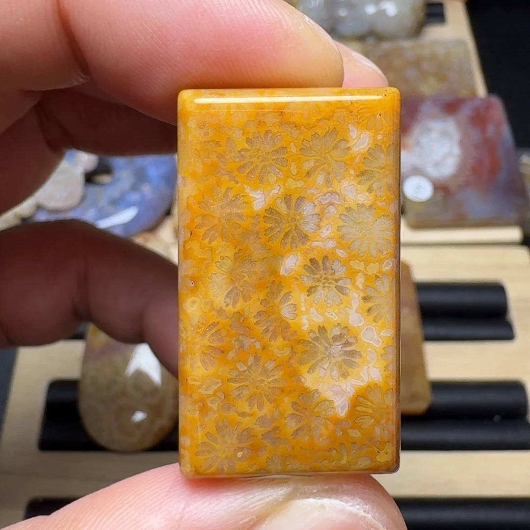 硅化玉未镶嵌纯天然色有机玉石保真色