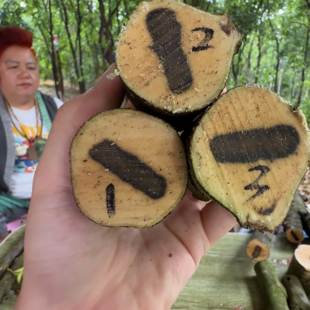 线香奇楠沉香原木