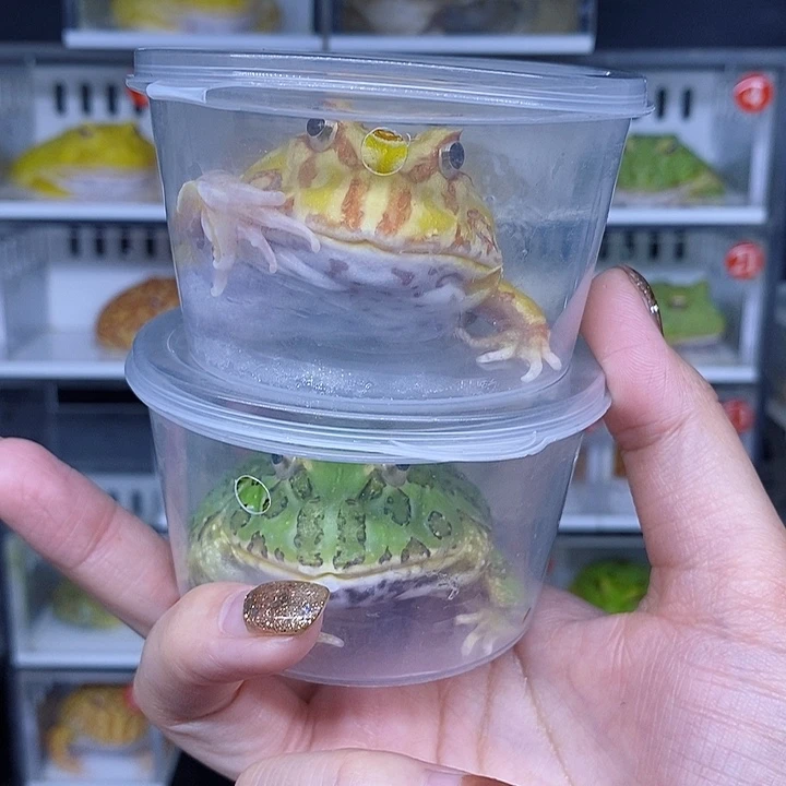 特价秒杀一切顺利