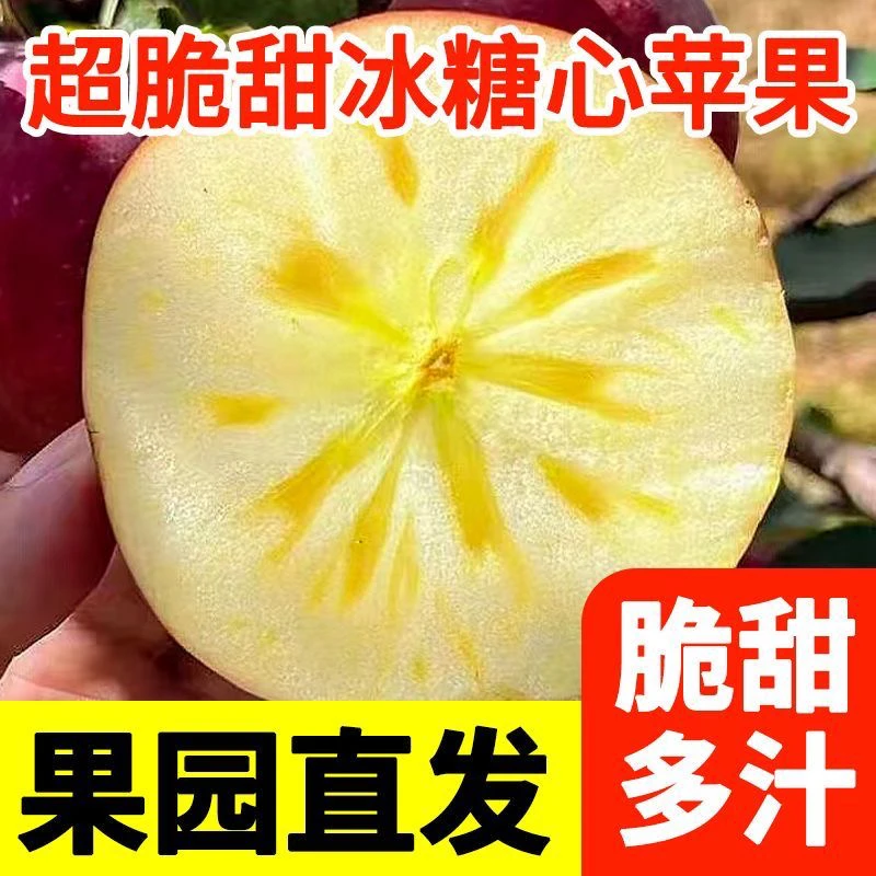 【晋乡水果】果园直发山西运城临猗红富士苹果新鲜水果净重带箱10斤