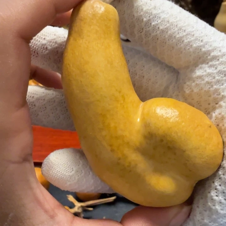 福***瑞6…………………………………………