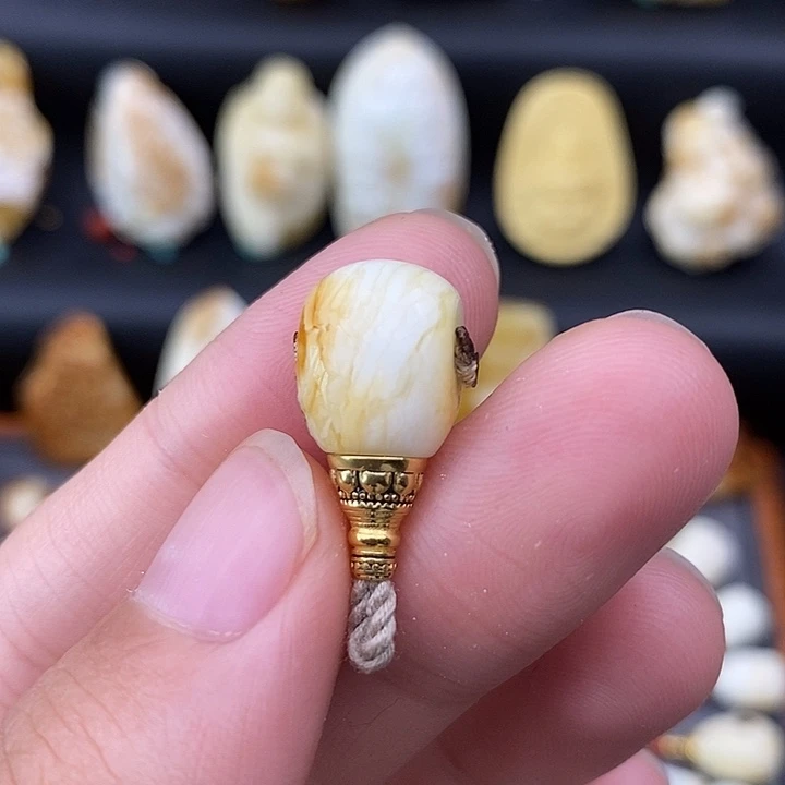 裸石琥珀未镶嵌10虎皮三通c156