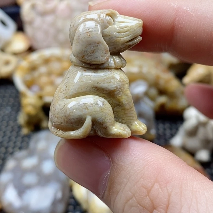 硅化珊瑚（珊瑚玉）颈饰未镶嵌@****