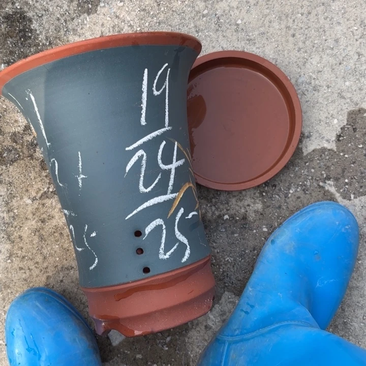 紫砂花盆紫砂的花