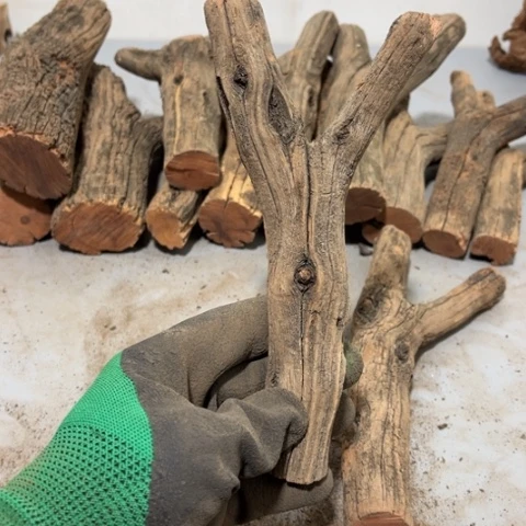 大果紫檀（缅甸花梨）張**！