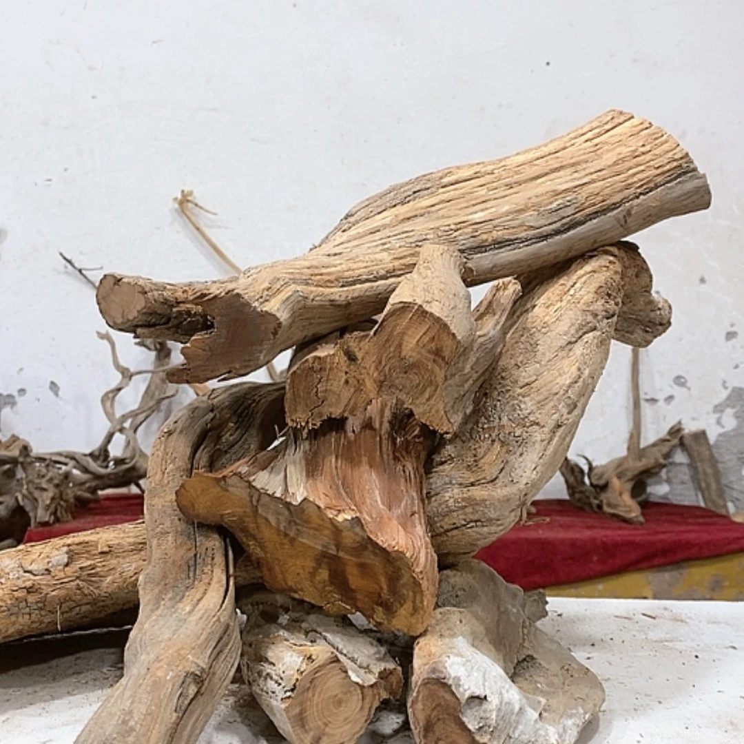 【闪购商品】柏木小*我们都是好孩子