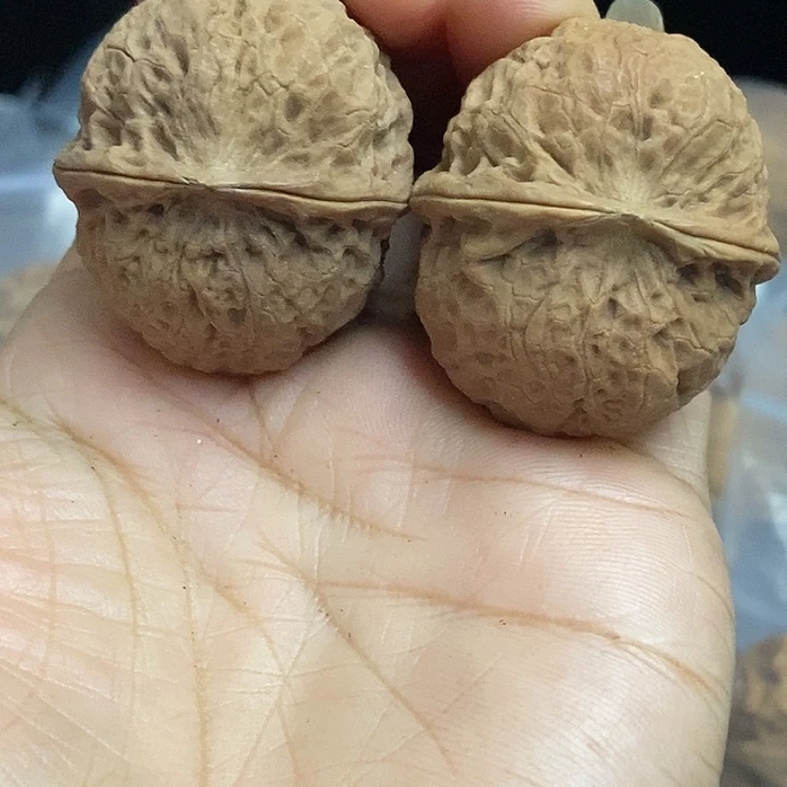 文玩核桃把件云南铁核桃基地51