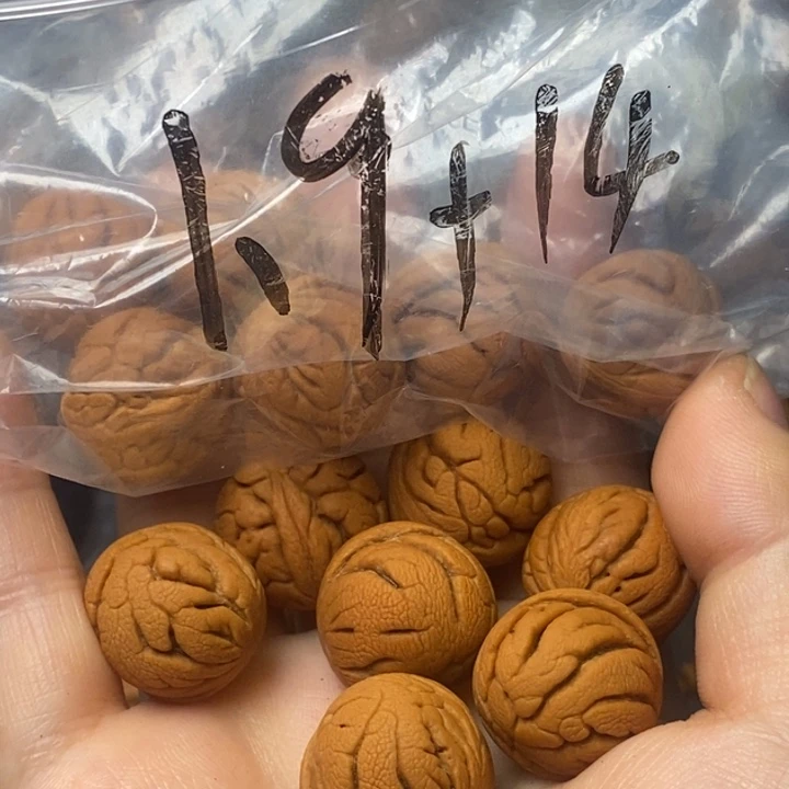 吊坠桃核秦岭山野生桃核