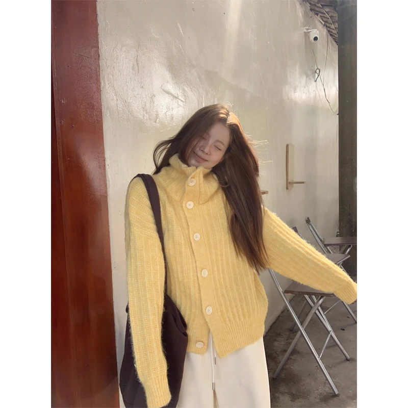 【皎皎白驹】秋季高级感慵懒风时尚百搭针织衫B2802