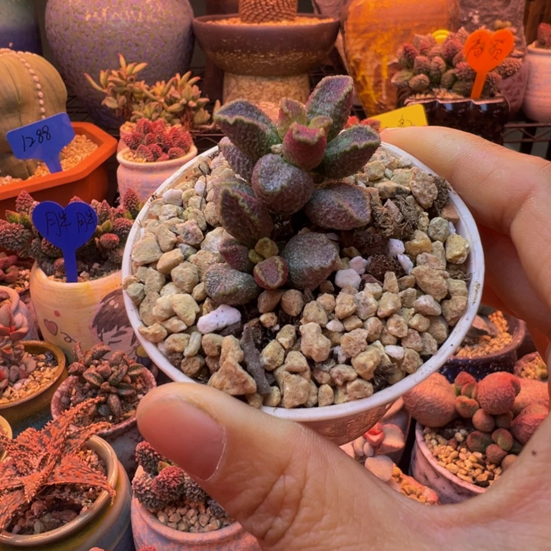 我们的目标就是成为更优秀