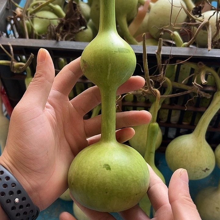 茗***中三庭文玩葫芦摆件