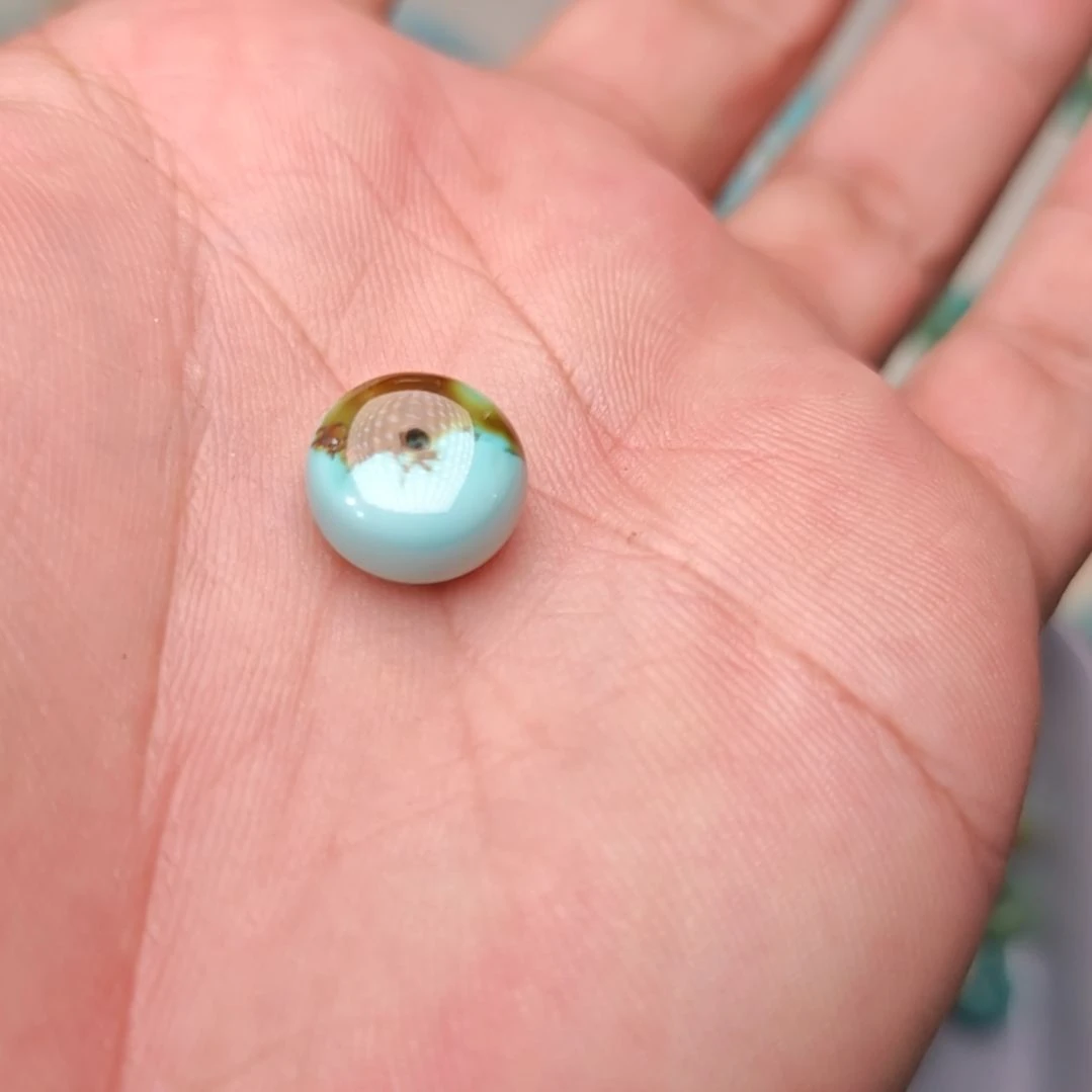 菩提籽类11.9*6.9