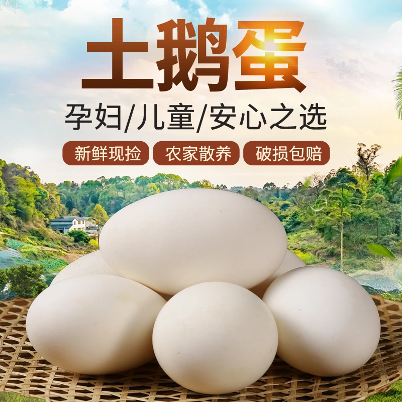 【阿谷农场】鹅蛋新鲜农家散养土鹅蛋正宗散养大鹅蛋特大号鹅蛋批发