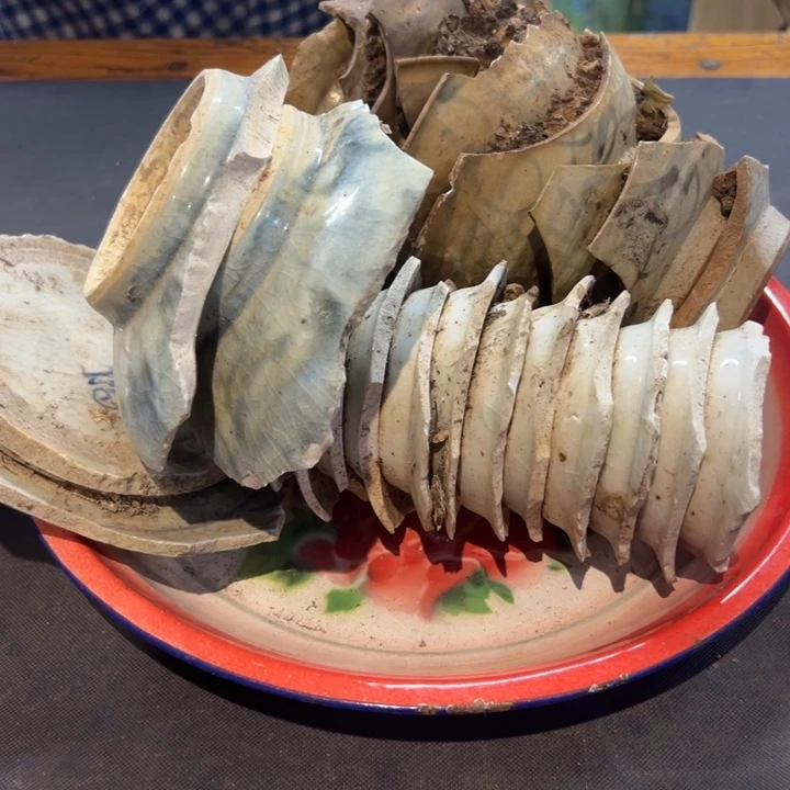 用***3瓷片拾六家的瓷器瓷器