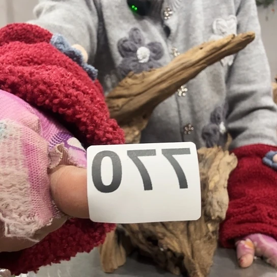 总*眠我也不知道我为什么