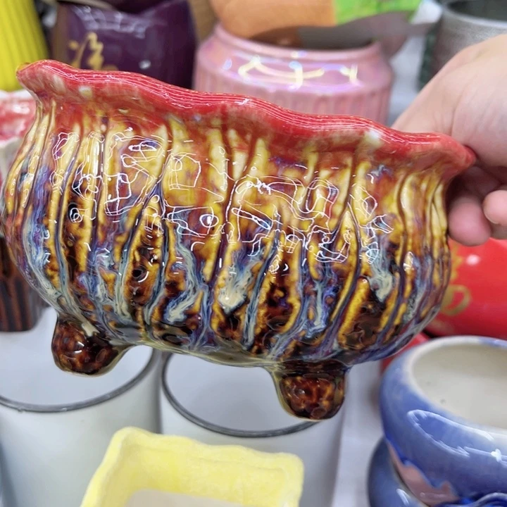 多肉植物陶瓷花盆