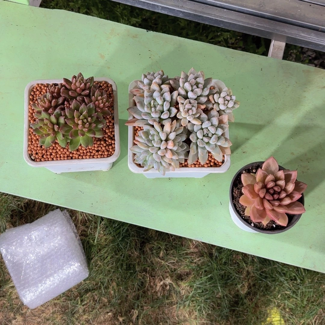 霓虹泡泡迷雾泡泡奶糖