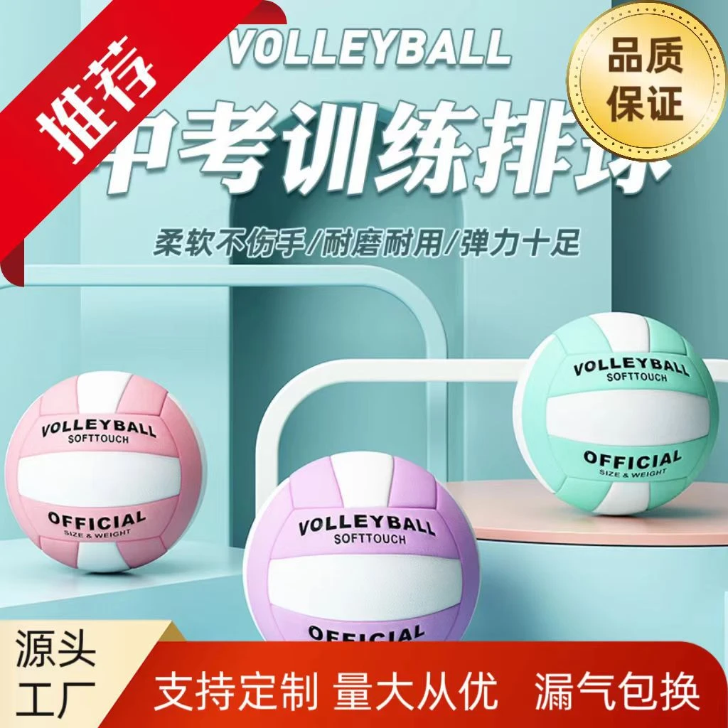 排球中考专用5号初中生比赛训练标准排球4号充气软式硬排