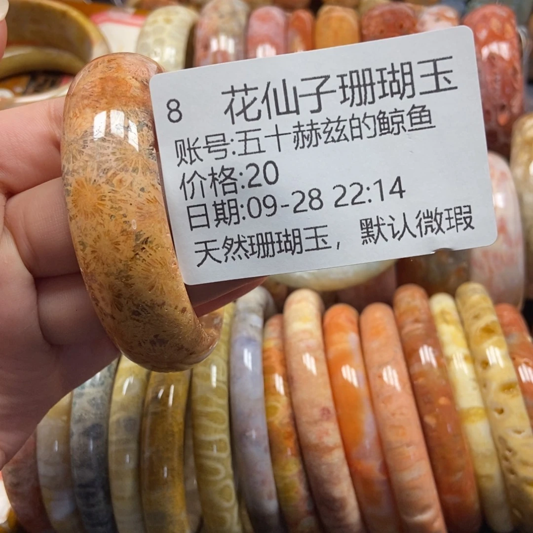 五***鱼硅化珊瑚（珊瑚玉）未镶嵌珠宝半成品8