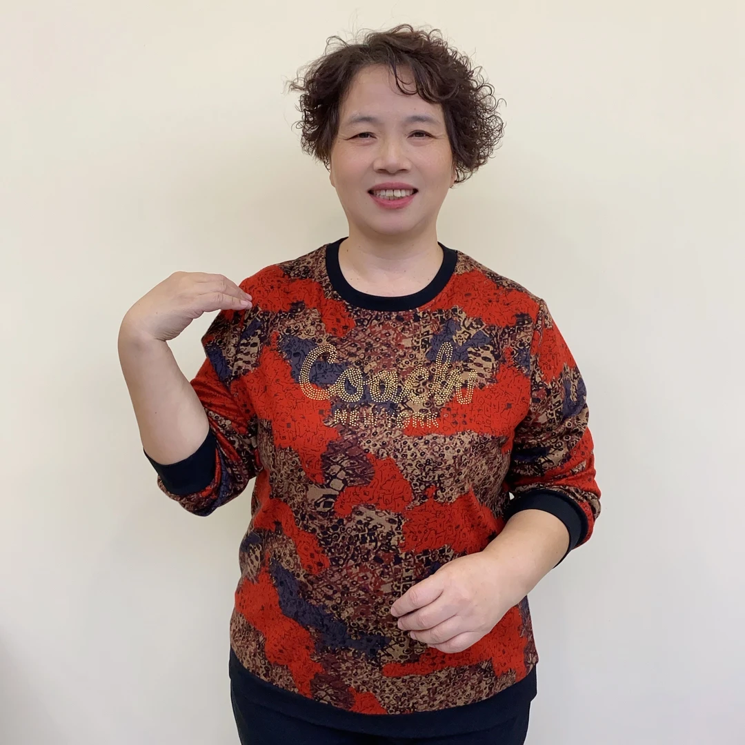 秋季中老年洋气妈妈装休闲显瘦时尚圆领花色打底长袖1133