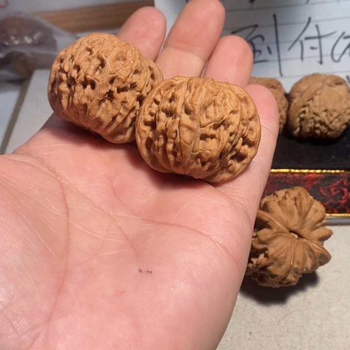 文玩核桃把件手****沈核桃