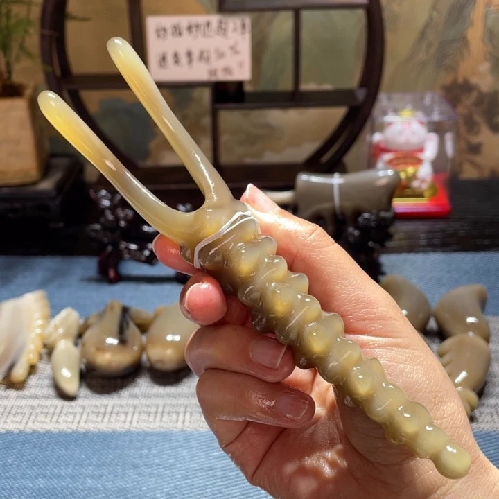 白水牛角海参美鼻器 16长