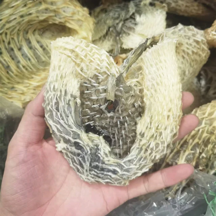 刺龟皮深海品质 海刺猬刺豚海胆皮 海鲜干货