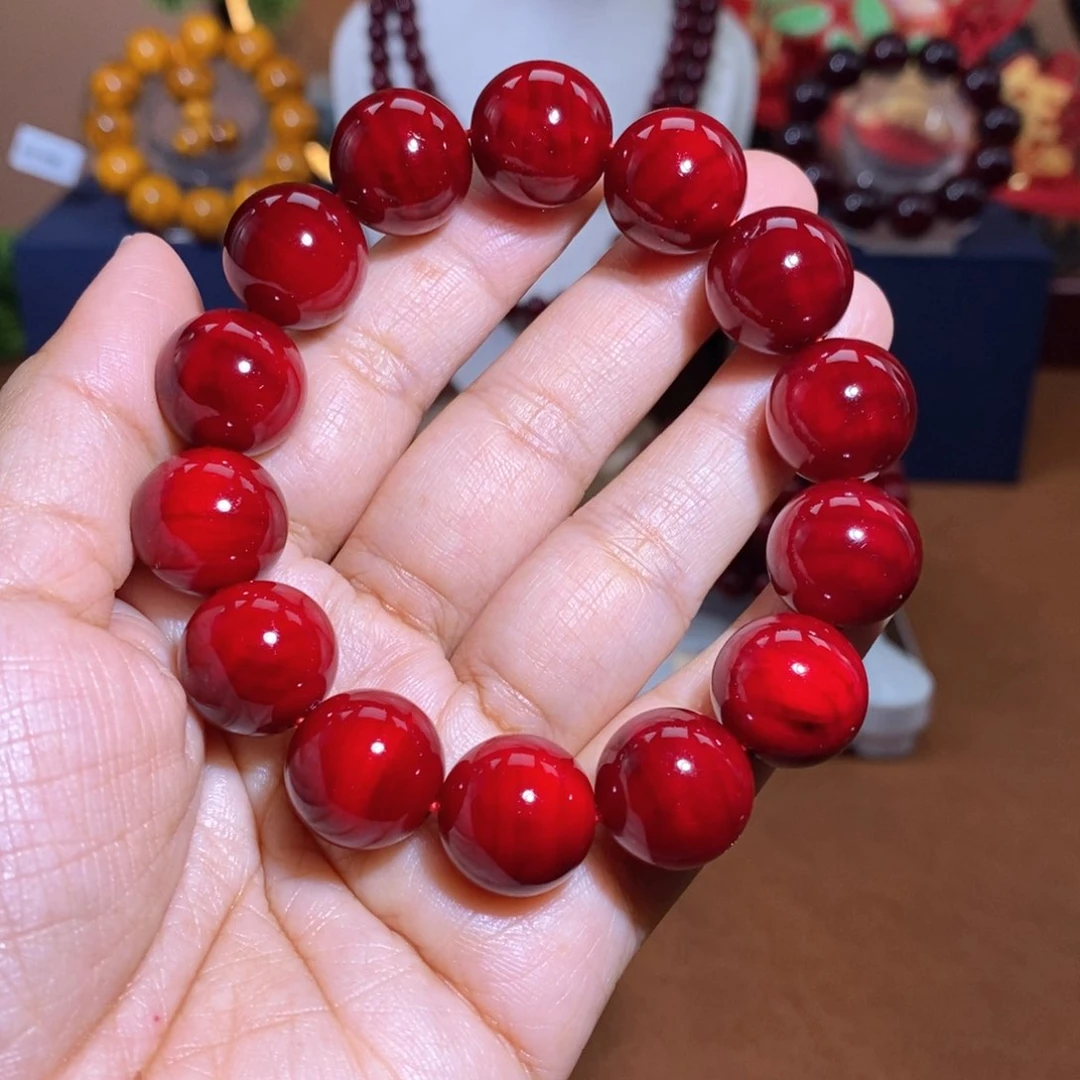 贝壳杉帝王血龙木1.5