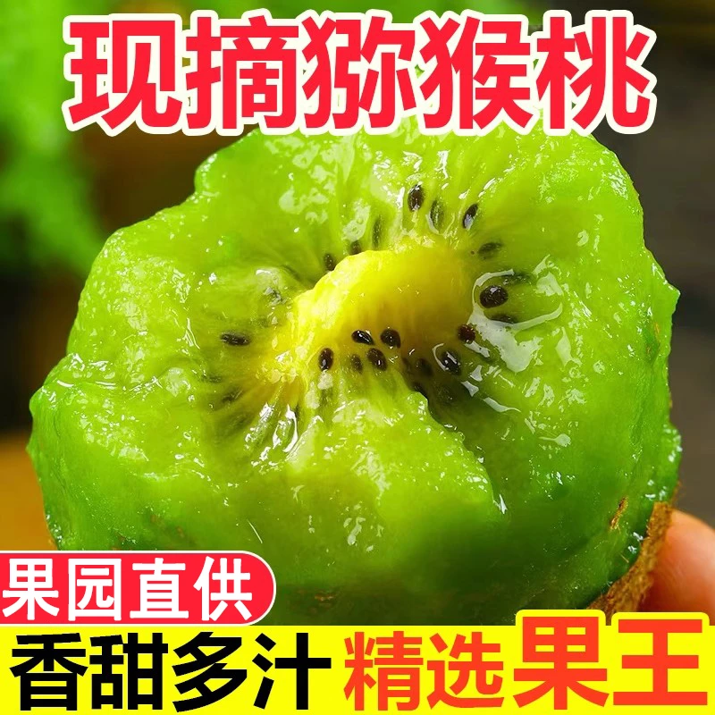 陕西周至猕猴桃绿心奇异果大果应当季新鲜即食徐香猕猴桃现摘整箱