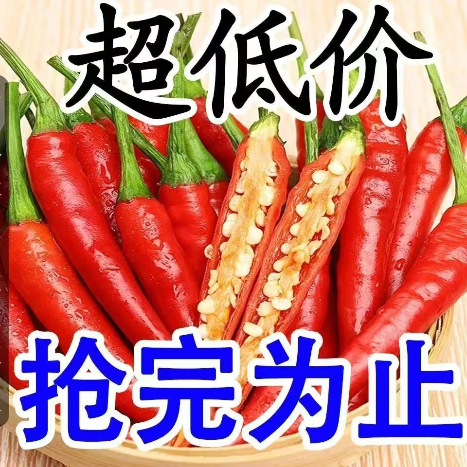 四川小米辣特辣川椒新鲜小米辣现摘现发辣椒朝天椒可做泡椒剁椒