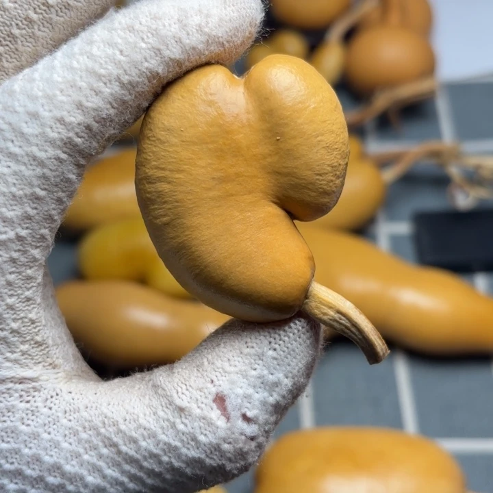 贝***利666666666666666666