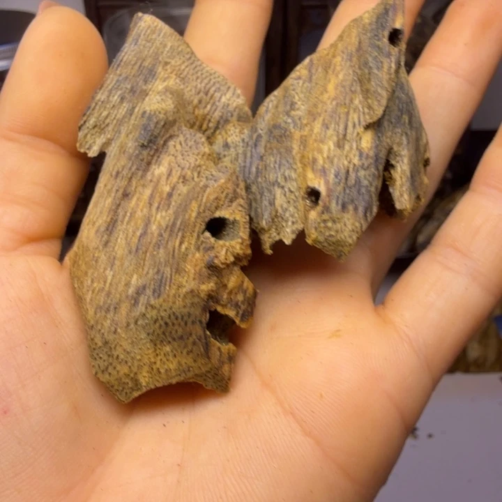 甜***蜜奇楠，原母树薰香15克