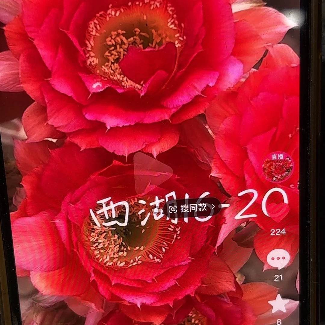16-20侧牙20包邮37