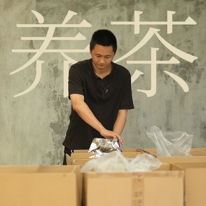 【范选好茶】龙哥好茶2025白牡丹山头集