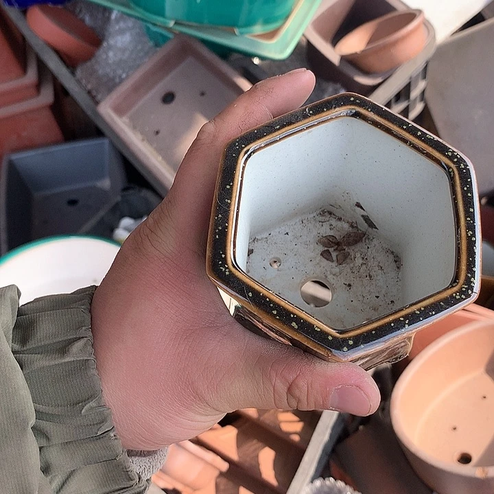 紫砂我要不就是你一