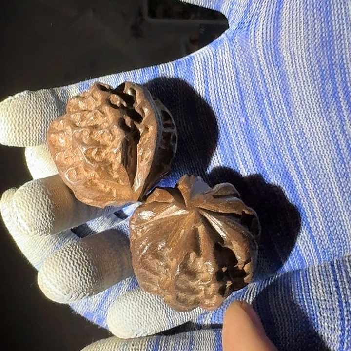 铜等金属材料的加工和加工工艺