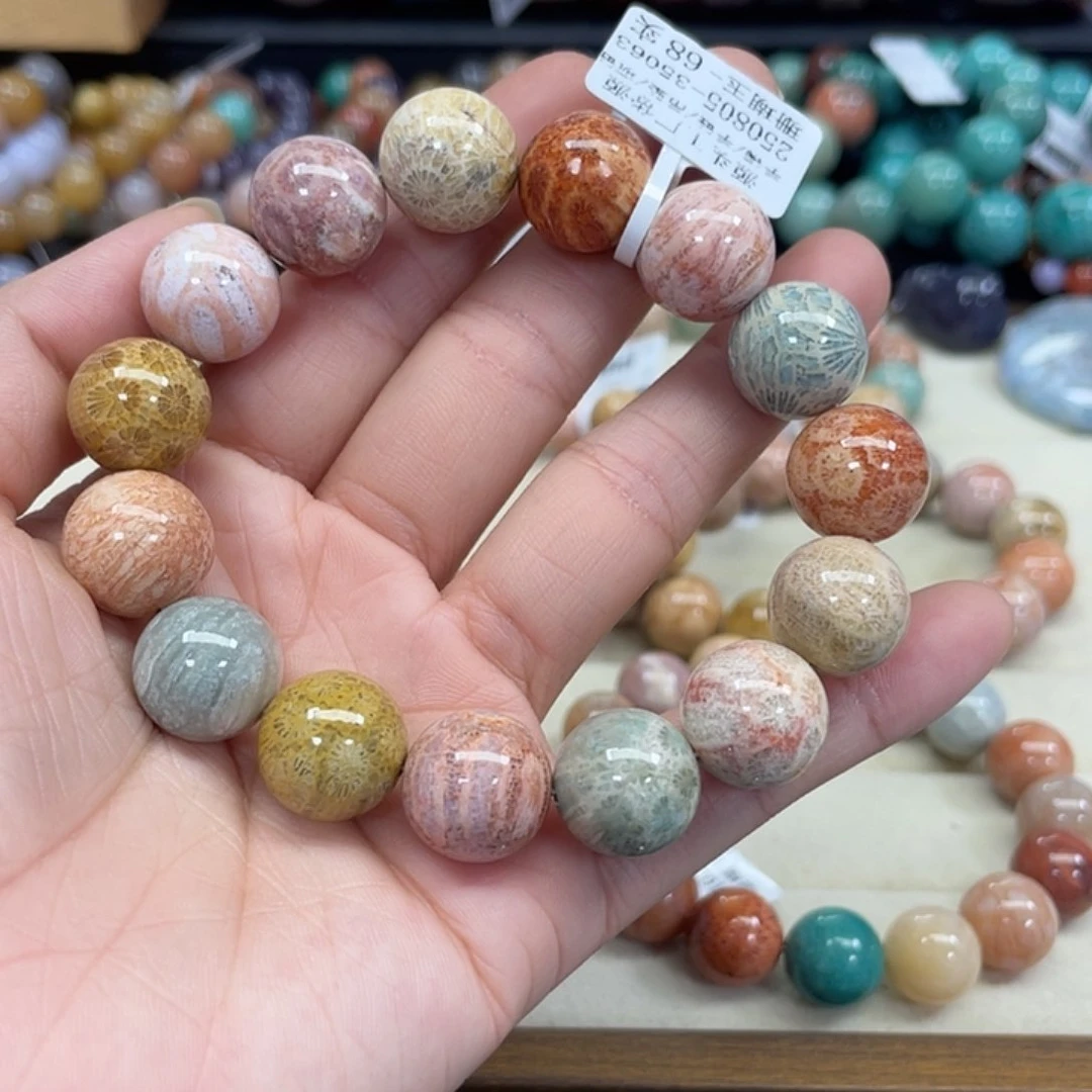 未镶嵌手串硅化珊瑚（珊瑚玉）起**烦045