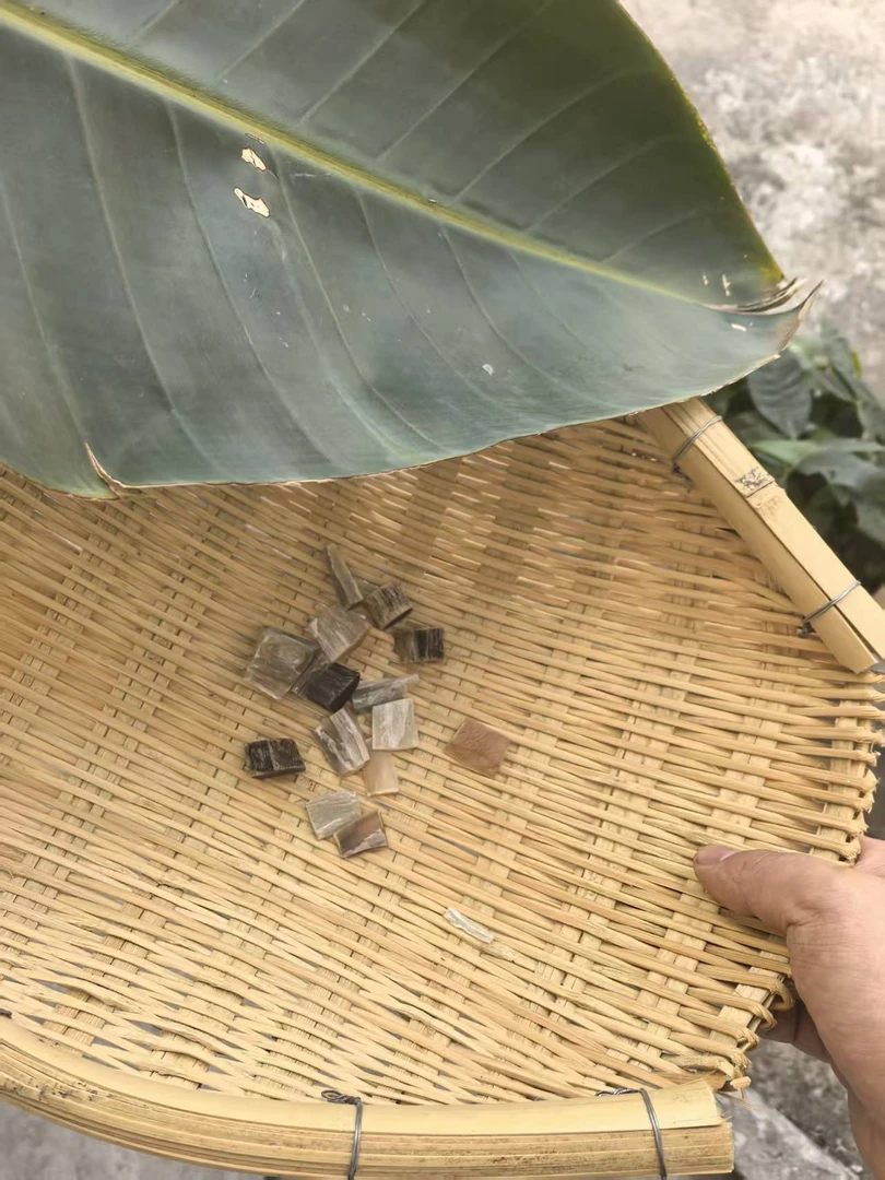 小高11  一物一拍 百合干