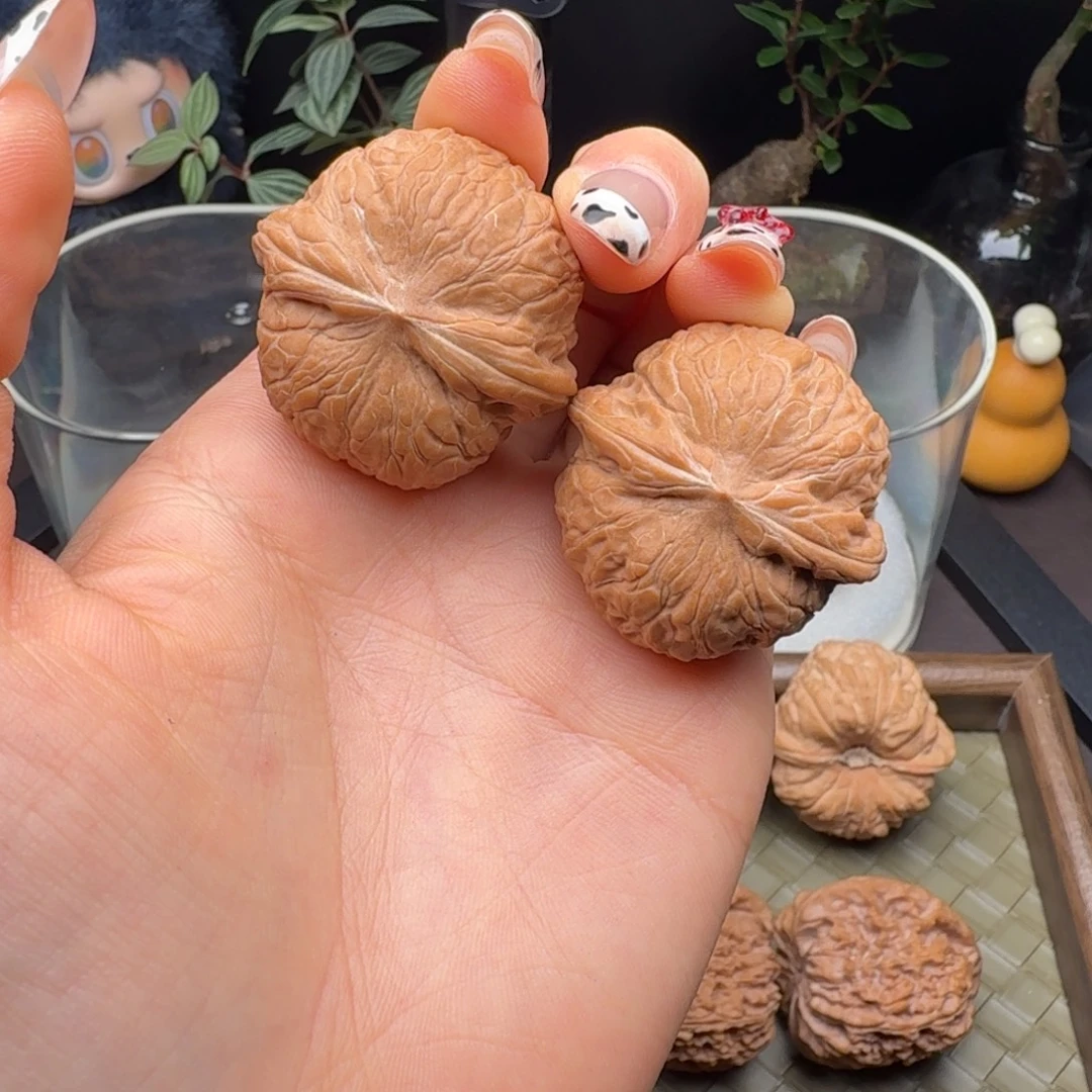 核桃全品乾隆磨36