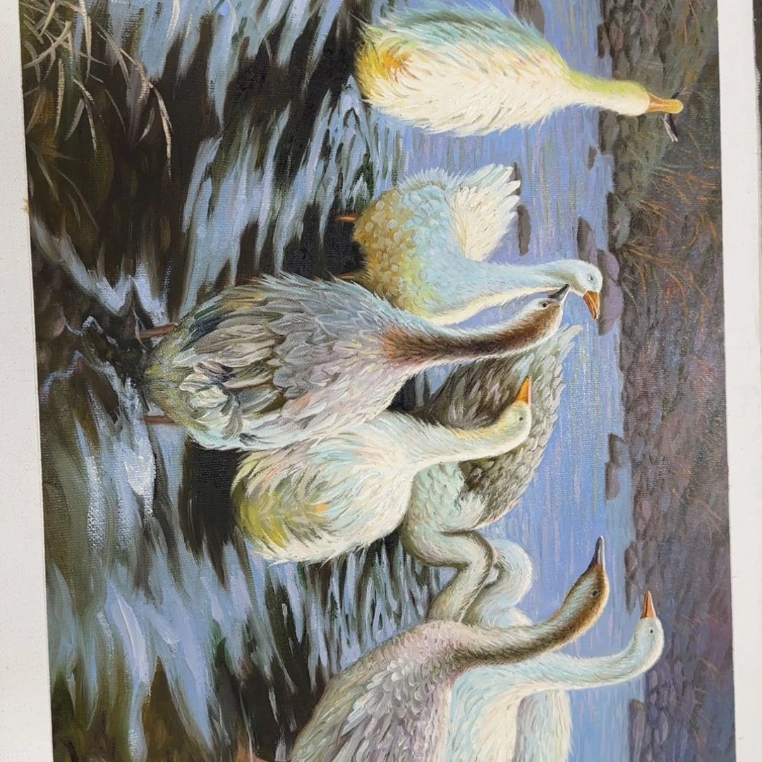 油画我也不知道为什么