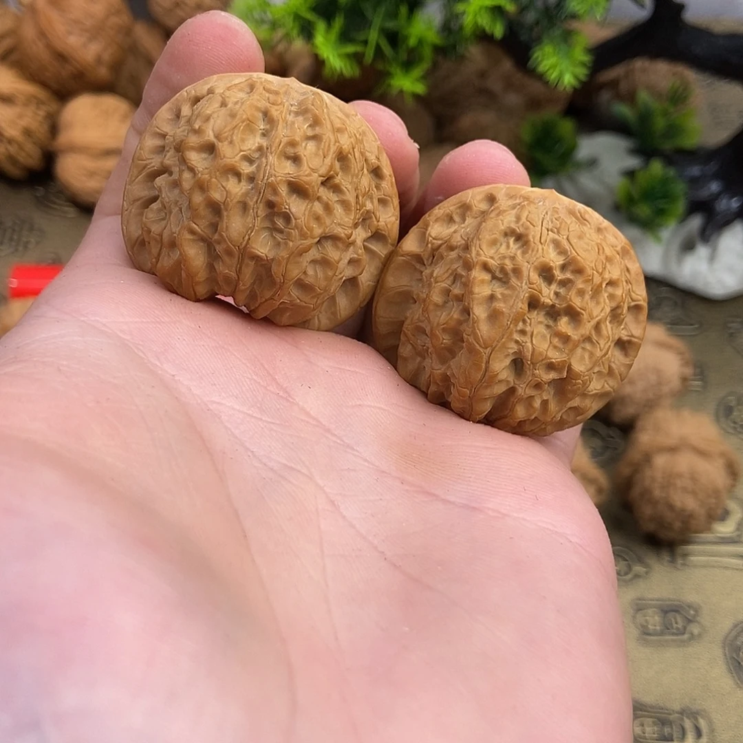 楚***玖核桃血麒麟39.5尺寸编号441