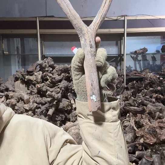 香榧木风**色火琉璃的故事毛料百家姓